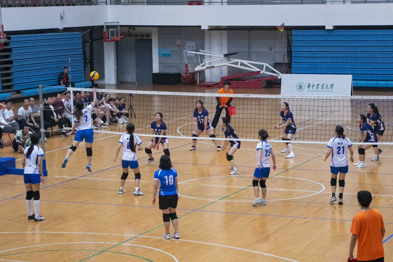 动物科学院云顶国际4008am7号李佳科进攻（学通社记者 司欣然 摄）